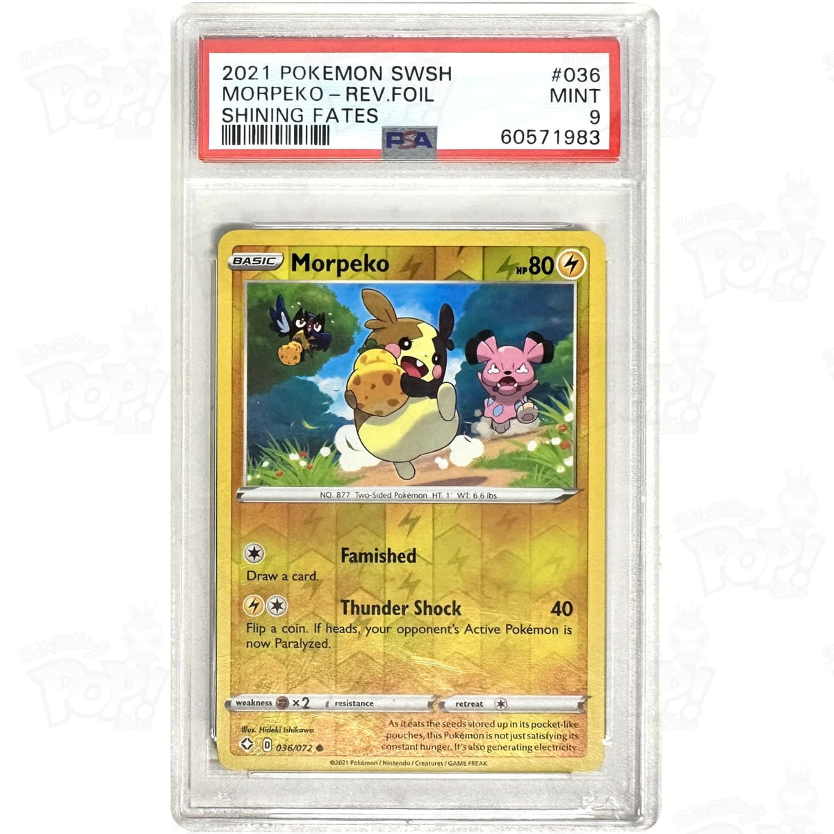 Pokemon TCG: Morpeko Shining Fates 036/072 / Reverse Holo PSA 9 #1