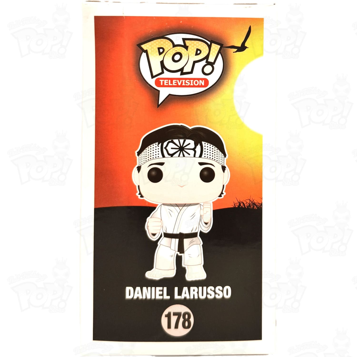 karate-kid-daniel-larusso-178-